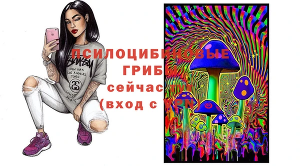 PSILOCYBIN Балахна
