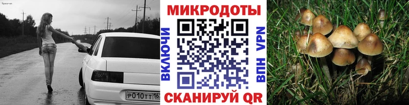 Галлюциногенные грибы Psilocybe наркошоп Вольск